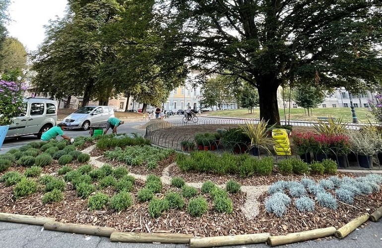 rain garden a Verdecittà Torino con Asproflor