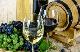 vino e vitivinicoltura