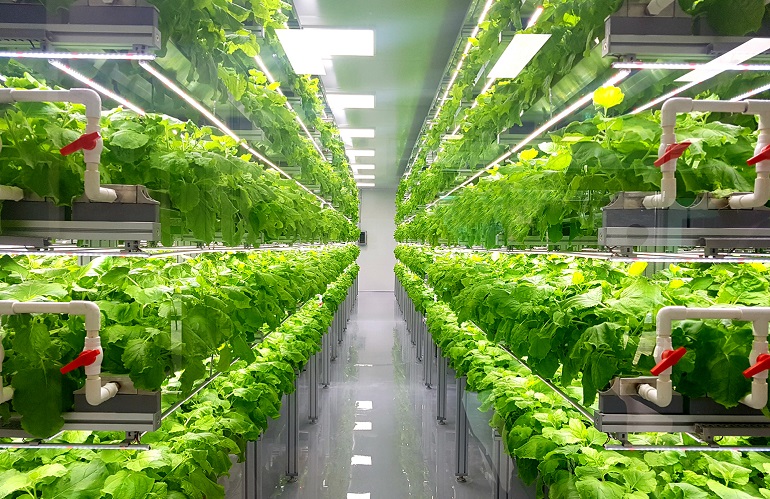 vertical farm