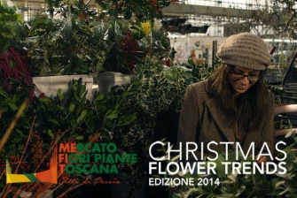 Espositori Christmas Flower Trends 2014_16