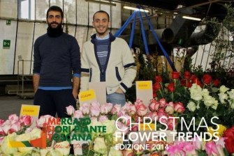 Espositori Christmas Flower Trends 2014_34