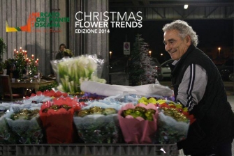 Espositori Christmas Flower Trends 2014_9