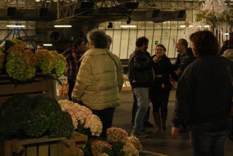 Visitatori Christmas Flower Trends 2014_20