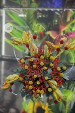 Christmas Flower trends, 29 e 30 novembre 2015 