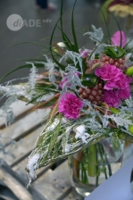 Scoperte Lucchesi, Christmas Flower trends, 29 e 30 novembre 2015_6