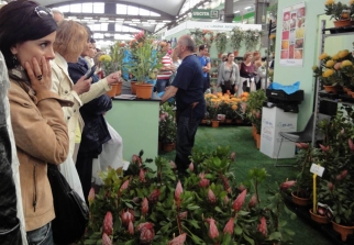 Euroflora 2011_3