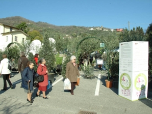 Mostra mercato