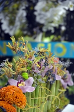 Flormart 2015, Florcert_27