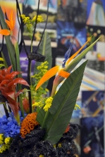 Flormart 2015, Federfiori_4