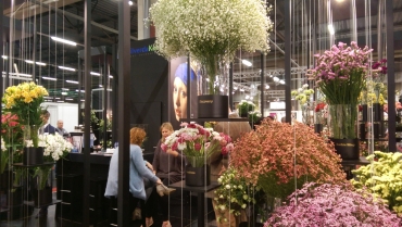 IFTF, 4-6 Novembre, Olanda