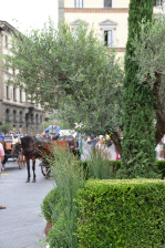 Inaugurazione delle installazioni Green al G20 di Firenze / Istallazioni-19