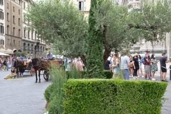 Inaugurazione delle installazioni Green al G20 di Firenze / Istallazioni-20