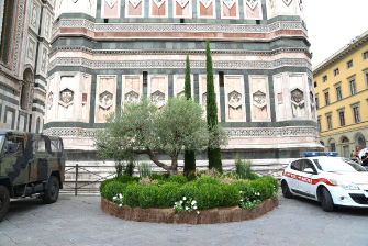 Inaugurazione delle installazioni Green al G20 di Firenze / Istallazioni-21