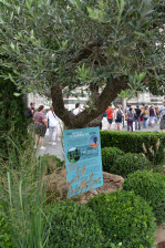 Inaugurazione delle installazioni Green al G20 di Firenze