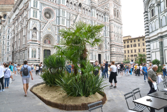 Inaugurazione delle installazioni Green al G20 di Firenze / Istallazioni-27