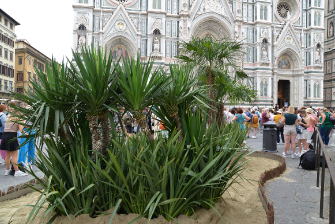 Inaugurazione delle installazioni Green al G20 di Firenze / Istallazioni-28