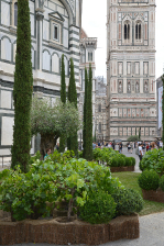 Inaugurazione delle installazioni Green al G20 di Firenze / Istallazioni-29