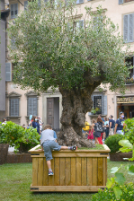 Inaugurazione delle installazioni Green al G20 di Firenze / Istallazioni-36