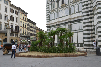 Inaugurazione delle installazioni Green al G20 di Firenze / Istallazioni-5