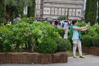 Inaugurazione delle installazioni Green al G20 di Firenze / Istallazioni-6