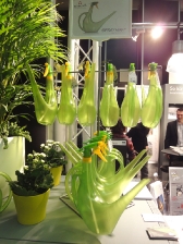 IPM Essen Appunti_19