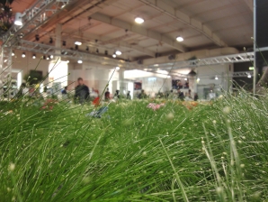 IPM Essen Appunti_22