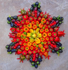 Mandala