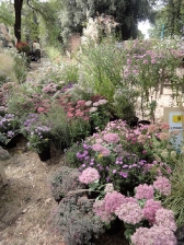 Murabilia 2011 - 2/4 settembre