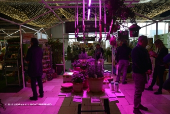 Myplant & Garden, 21-23 febbraio 2018