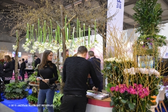 MyPlant & Garden 2018-8