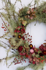 Natale Vivo by Stars Florist