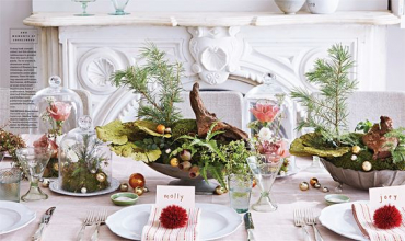 Natale Vivo by Stars Florist