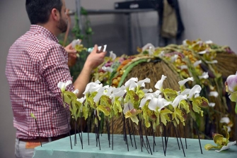 Salon Du Végétal 2015