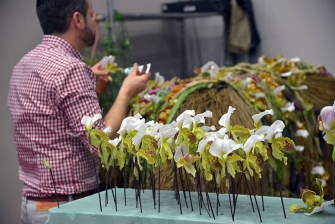 Salon du Végétal, fiori recisi_3