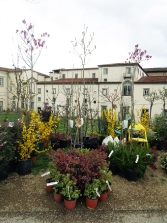 Verdemura 2015 - 27/29 marzo