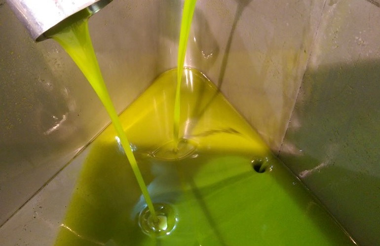 Olio di oliva: dalla tradizione al futuro. Prospettive per l’olivicoltura italiana