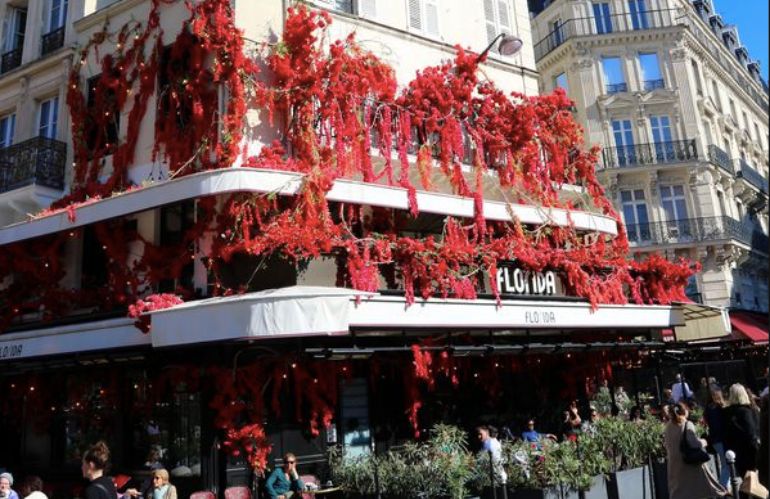 paris terrasse 15