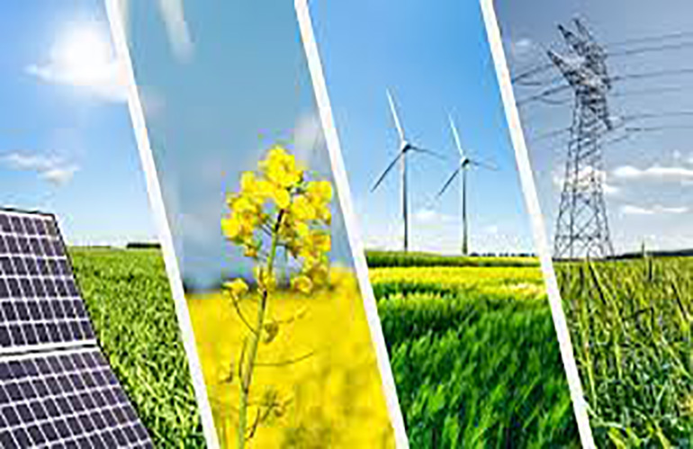 GR8:la garanzia gratuita di ISMEA per investire nelle rinnovabili