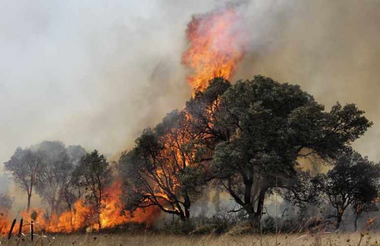 collasso climatico incendi