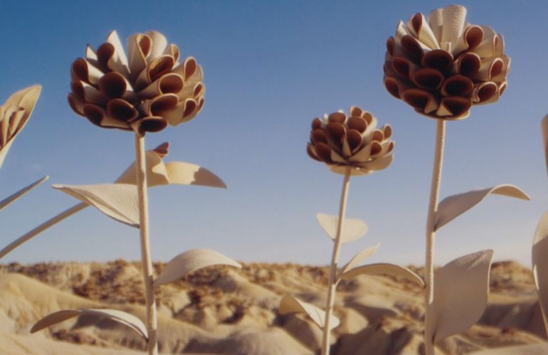 Fiori in Pelle e la collezione Plèi di Polèn