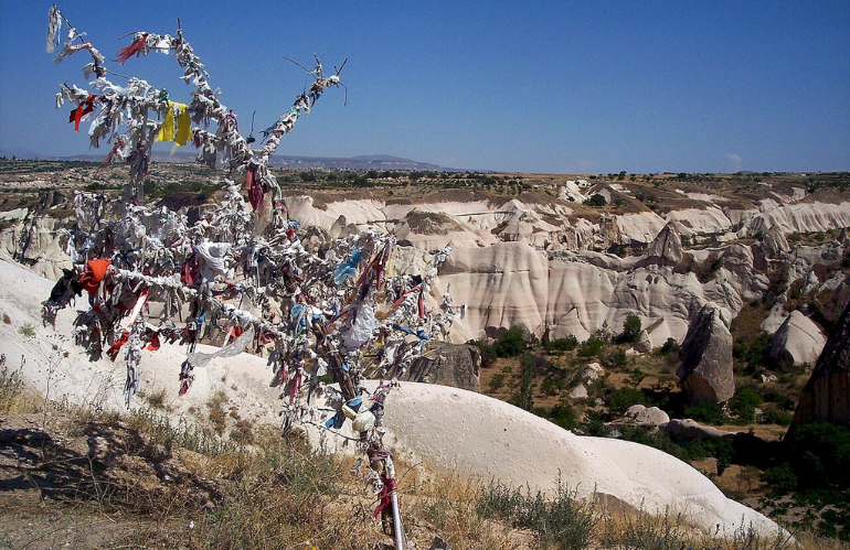 UN ALBERO PER GLI STRACCI DELLA GUARIGIONE