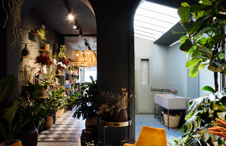 Dettaglio della pianta Artemisia usata nei bouquet