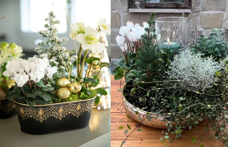 Composizione con ciclamini e decorazioni natalizie dorate