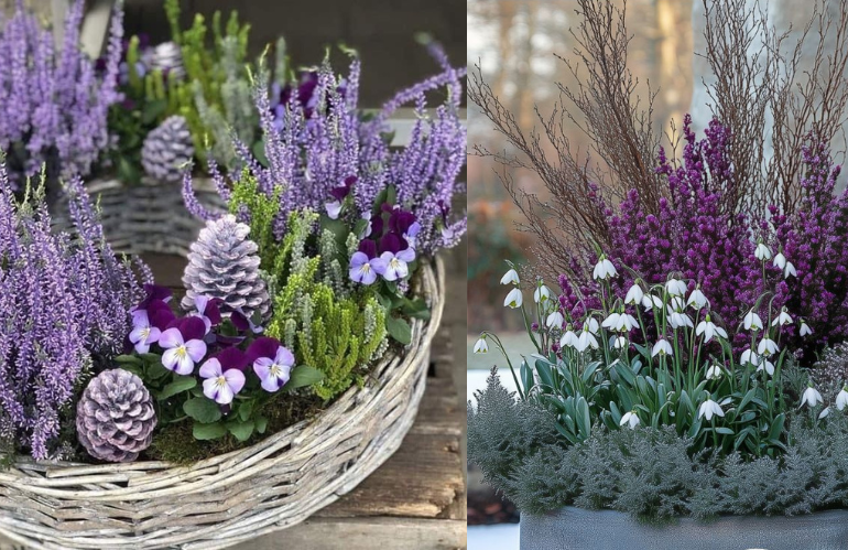 Composizione con erica, viole e pigne in ghirlanda