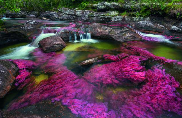 fiume-colorato-caño-cristales