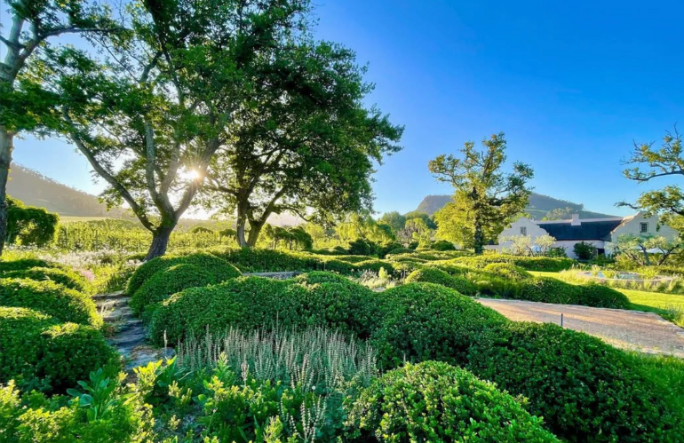 Dettagli vegetali e composizioni organiche tipiche dei giardini di Leon Kluge