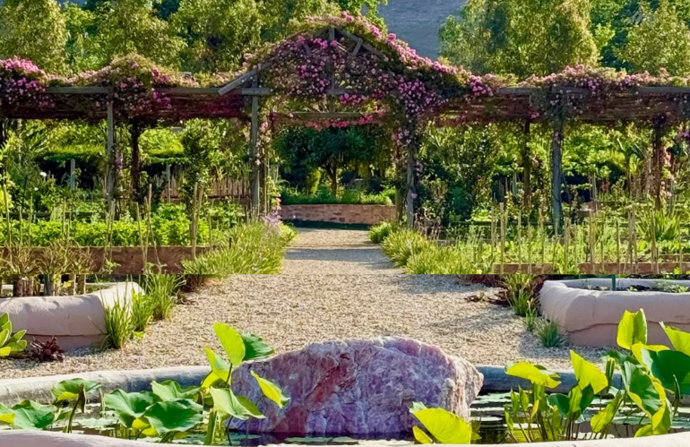 Leon Kluge al lavoro su installazioni botaniche internazionali