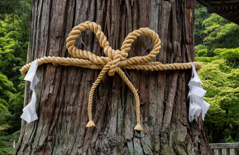 UN ALBERO PER… IL GOSHINBOKU SACRO