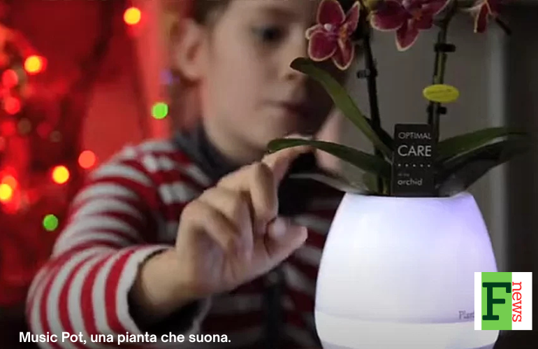 PROMOPLANT PER EVENTI E REGALI CON VIVAISMO E FLOROVIVAISMO