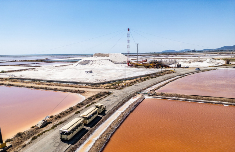 Saline Conti Vecchi Assemini CA Foto Alberto Masala 2024 FAI Fondo per lAmbiente Italiano